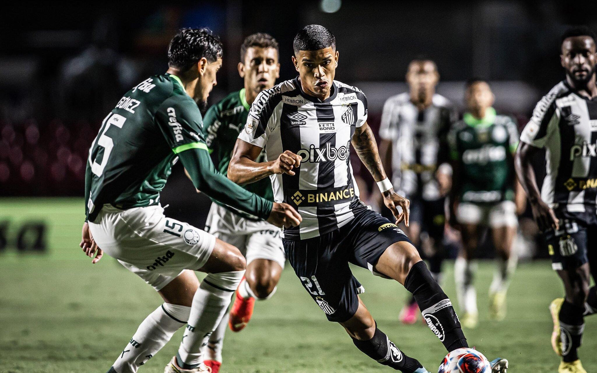 Santos FC x Palmeiras: clássico com entrada gratuita, na Vila Belmiro, pelo  Brasileirão Feminino - Santos Futebol Clube